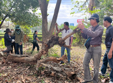 กิจกรรม “บ้านเมืองสะอาด บูชาคุณย่าโม” พารามิเตอร์รูปภาพ 22